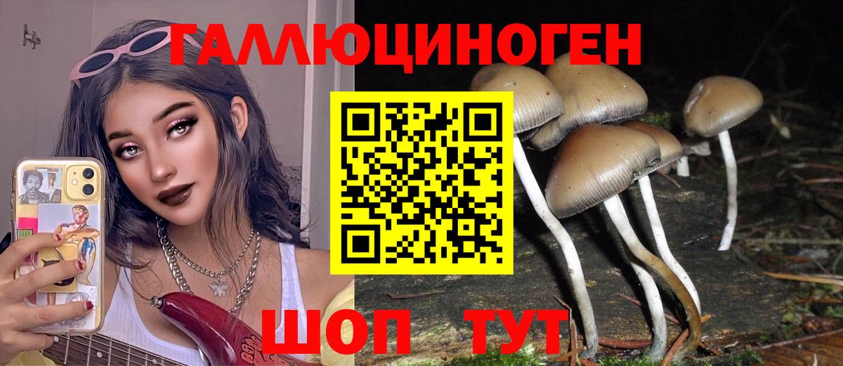 Псилоцибиновые грибы ЛСД  Вход с VPN  Якутск 